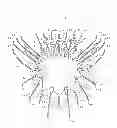Fig. 02 - ROTMAN LENS