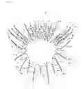 Fig. 07 - ROTMAN LENS