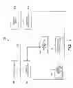 Fig. 02 - ELECTRONIC DEVICE, INPUT PROCESSING METHOD AND PROGRAM