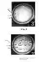 Fig. 06 - System and method for adjusting image pixel color to create a parallax depth effect