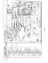 Fig. 06 - Information mapping approaches