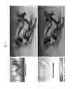Fig. 09 - METHODS AND DEVICE FOR PROCESSING DIGITAL STEREO IMAGE CONTENT