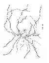 Fig. 08 - Apparatus and method for imaging an eye