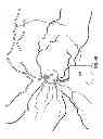 Fig. 09 - Apparatus and method for imaging an eye