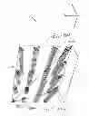 Fig. 01 - Apparatus for compensating image of display, display and joint display