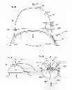 Fig. 46 - Lighted headgear and accessories therefor