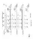 Fig. 02 - Semiconductor Memory Device with Hierarchical Bitlines