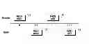 Fig. 01 - Transmission/reception method and apparatus for uplink MIMO retransmission in LTE system