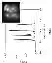 Fig. 09 - Multicolor photonic crystal laser array