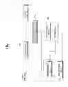 Fig. 02 - Imaging decoding apparatus