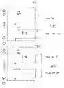 Fig. 01 - Phase-unified loudspeakers: parallel crossovers