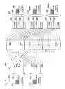 Fig. 08 - Optical node for switching signals between optical fibers