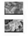 Fig. 06 - METHODS OF PRODUCING COILED CARBON NANOTUBES