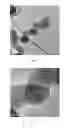 Fig. 07 - METHODS OF PRODUCING COILED CARBON NANOTUBES