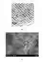 Fig. 09 - METHODS OF PRODUCING COILED CARBON NANOTUBES