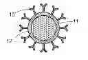 Fig. 01 - Use of scintillator-based nanoparticles for in vivo control of light-sensitive bioactive molecules