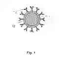 Fig. 02 - Use of scintillator-based nanoparticles for in vivo control of light-sensitive bioactive molecules
