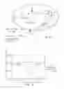 Fig. 08 - ENHANCED TRANSPORT USING MEMBRANE DISRUPTIVE AGENTS