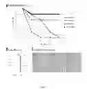 Fig. 02 - METHODS OF TREATMENT USING STEM CELL MOBILIZERS