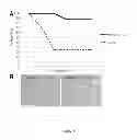 Fig. 04 - METHODS OF TREATMENT USING STEM CELL MOBILIZERS