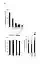 Fig. 09 - Composition for treating hepatitis C virus, regulating phosphorylation of replicase