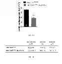 Fig. 06 - METHODS FOR INDUCING CARDIOMYOCYTE PROLIFERATION