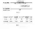 Fig. 07 - METHODS FOR INDUCING CARDIOMYOCYTE PROLIFERATION