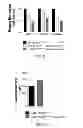 Fig. 08 - METHODS FOR INDUCING CARDIOMYOCYTE PROLIFERATION