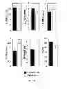 Fig. 09 - METHODS FOR INDUCING CARDIOMYOCYTE PROLIFERATION