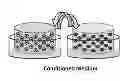 Fig. 01 - TISSUE ENGINEERING USING PROGENITOR CELLS TO CATALYZE TISSUE FORMATION BY PRIMARY CELLS