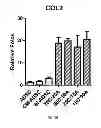 Fig. 06 - TISSUE ENGINEERING USING PROGENITOR CELLS TO CATALYZE TISSUE FORMATION BY PRIMARY CELLS