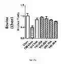 Fig. 08 - TISSUE ENGINEERING USING PROGENITOR CELLS TO CATALYZE TISSUE FORMATION BY PRIMARY CELLS