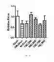 Fig. 09 - TISSUE ENGINEERING USING PROGENITOR CELLS TO CATALYZE TISSUE FORMATION BY PRIMARY CELLS