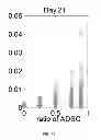 Fig. 22 - TISSUE ENGINEERING USING PROGENITOR CELLS TO CATALYZE TISSUE FORMATION BY PRIMARY CELLS