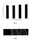 Fig. 02 - Composite hydrogel-clay particles