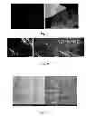 Fig. 07 - Composite hydrogel-clay particles