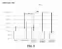 Fig. 04 - Suppression of prostate cancer using a targeted clostridial neurotoxin