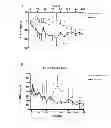 Fig. 13 - The Use of Alkaline Phosphatase for Preserving Renal Function
