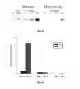 Fig. 06 - COMPOSITIONS AND METHODS FOR TREATING PAIN