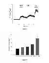 Fig. 07 - COMPOSITIONS AND METHODS FOR TREATING PAIN