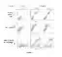 Fig. 12 - COMPOSITIONS AND METHODS FOR TREATING PAIN