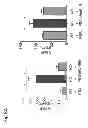 Fig. 09 - Administration of an Anti-Activin-A Compound to a Subject