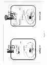Fig. 02 - ANTIBODIES TO LRP6