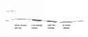 Fig. 02 - Compositions of a peptide targeting system for treating cancer