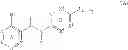 Fig. 08 - Immunomodulator and anti-inflammatory compounds