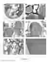 Fig. 40 - COMPOSITIONS AND METHODS FOR WOUND HEALING, AND FOR RECRUITMENT AND ACTIVATION OF MACROPHAGES IN INJURED TISSUES AND IN IMPLANTED BIOMATERIALS USED FOR TISSUE ENGINEERING