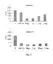 Fig. 09 - MICROVESICLES ISOLATED FROM MESENCHYMAL STEM CELLS FOR USE AS IMMUNOSUPPRESSIVE AGENTS