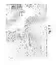 Fig. 12 - MICROVESICLES ISOLATED FROM MESENCHYMAL STEM CELLS FOR USE AS IMMUNOSUPPRESSIVE AGENTS
