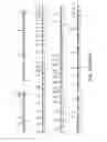 Fig. 07 - -derived vector and methods of using the same