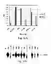 Fig. 45 - MULTI PLASMID SYSTEM FOR THE PRODUCTION OF INFLUENZA VIRUS